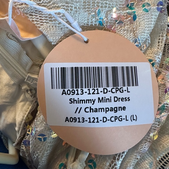 Sage and page champagne mini dress - Picture 3 of 4